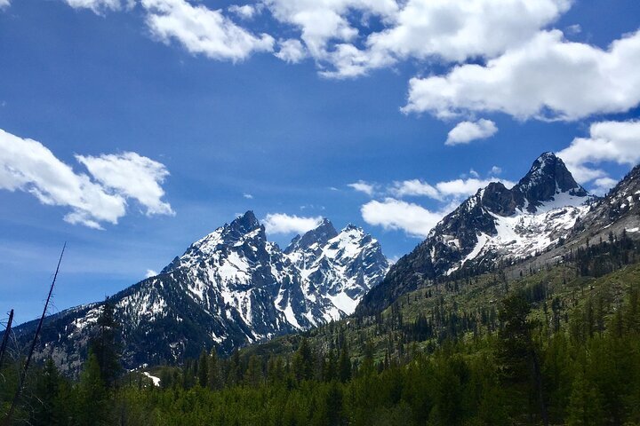 2024 Grand Teton Half Day Tour from Jackson Hole - Tripadvisor