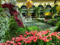 Bellagio's Conservatory & Botanical Gardens Celebrates the Year of the  Rabbit with Spectacular Display (w/ Video)