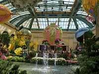 Bellagio Conservatory & Botanical Garden - All You Need to Know BEFORE You  Go (with Photos)