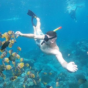 DPM Diving Nusa Penida - All You Need to Know BEFORE You Go (2024)
