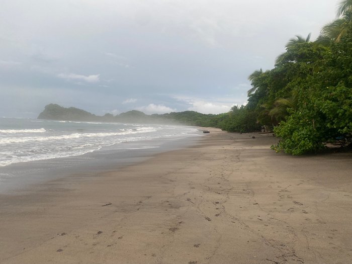 SURFHOST $50 ($̶5̶7̶) - Prices & B&B Reviews - Garza, Costa Rica