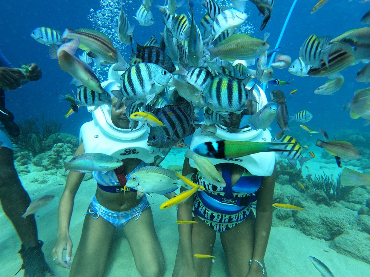 sea trek curacao underwater walking tour willemstad tours