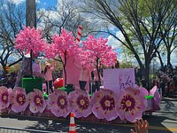 National Cherry Blossom Festival (Washington DC) - All You Need to Know  BEFORE You Go (with Photos) - Tripadvisor