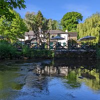 THE WATERMAN'S ARMS (Totnes) - All You Need to Know BEFORE You Go