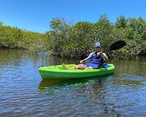 snorkeling tours st petersburg florida