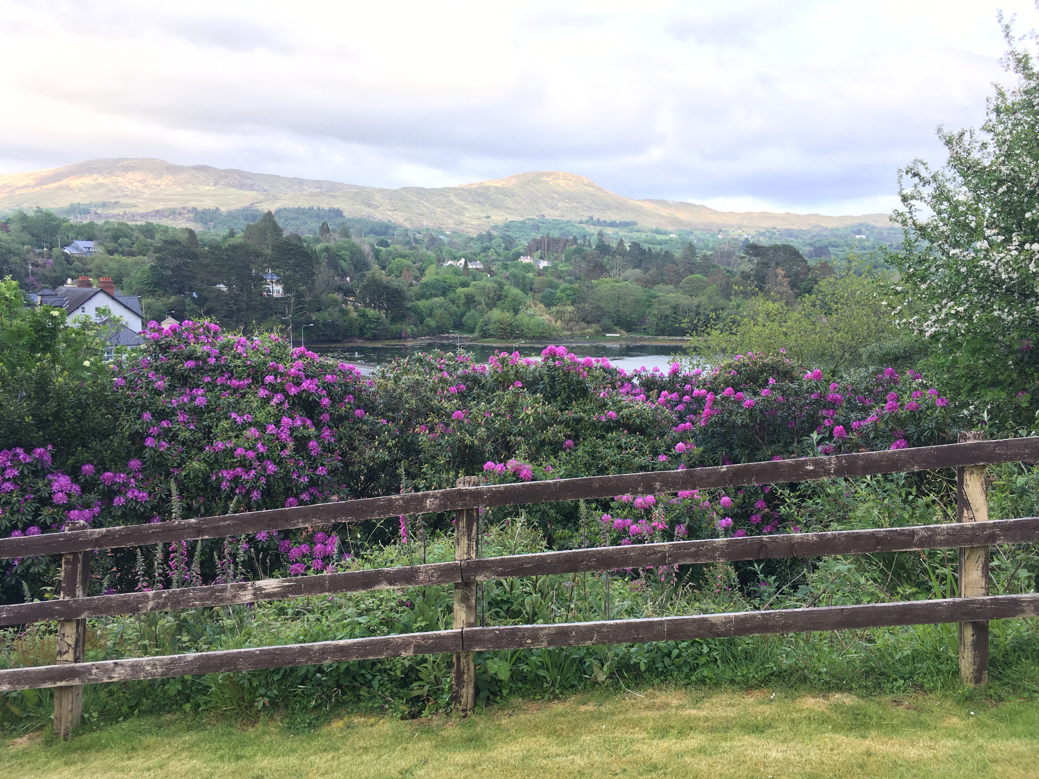 Island View House B&B (Glengarriff, Irlande) : Tarifs 2024 Et 5 Avis