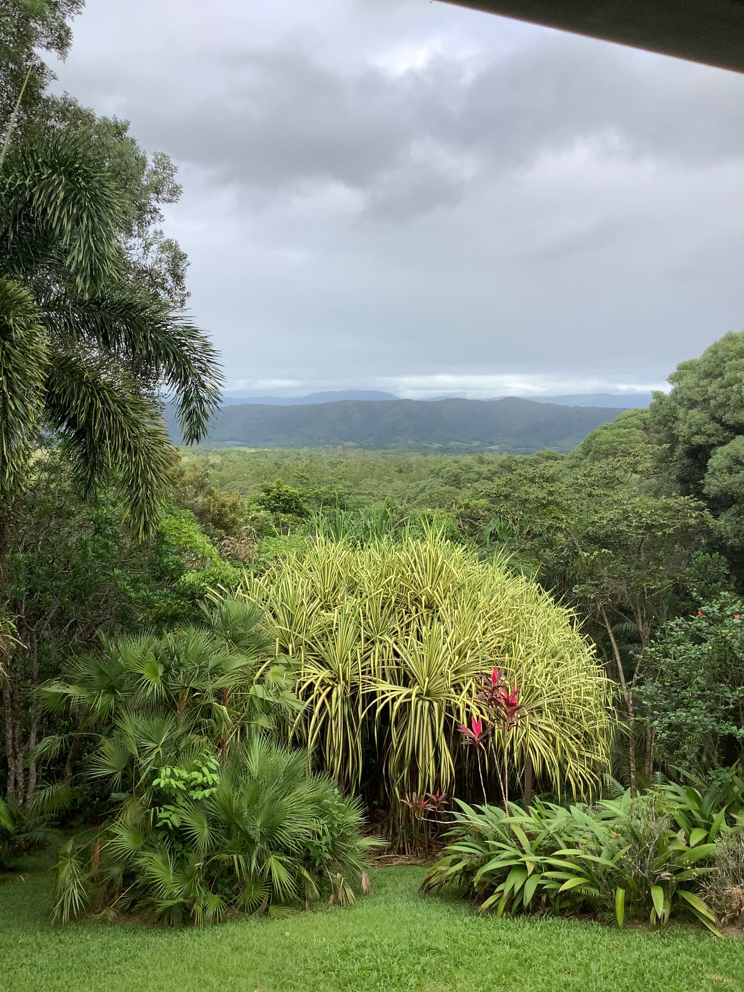 DAINTREE MANOR B&B (AU$167): 2024 Prices & Reviews (Daintree Region ...