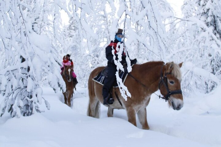 2024 (Sirkka) Horseback Riding Tour in Levi