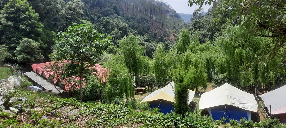 CAMP TWILIGHT - Campground Reviews (Nainital, India)