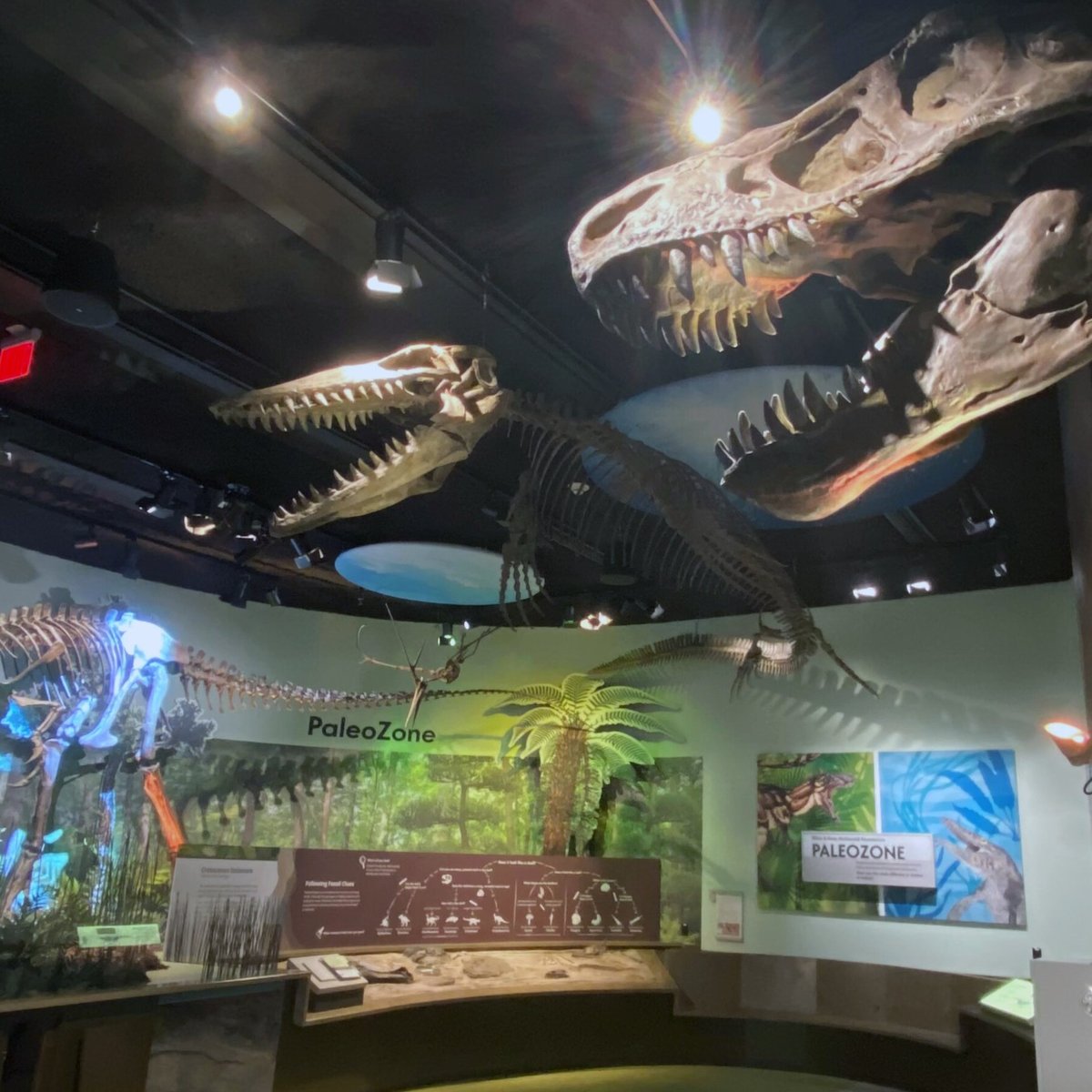 Delaware Museum of Nature and Science (Greenville) - All You Need to ...