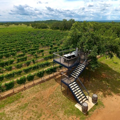 THE 10 BEST Johnson City Wineries & Vineyards to Visit (2024)