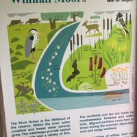 WINNALL MOORS NATURE RESERVE (Winchester) - All You Need to Know BEFORE ...