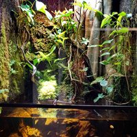 Oslo Reptile Park - All You Need to Know BEFORE You Go