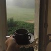 earlgreys