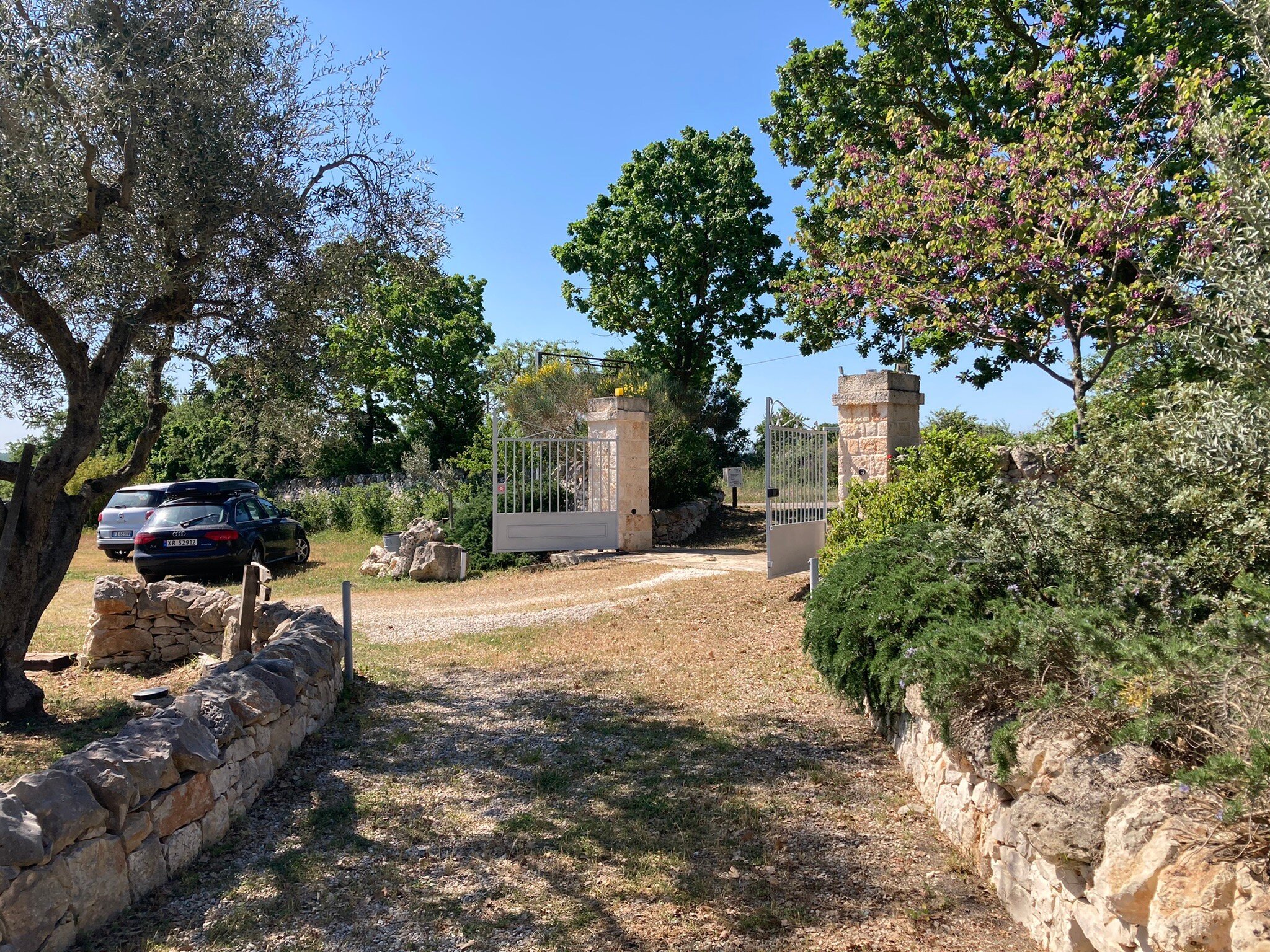 TRULLI GALLO ROSSO (Martina Franca, Italia): Opiniones Y Fotos Del B&b