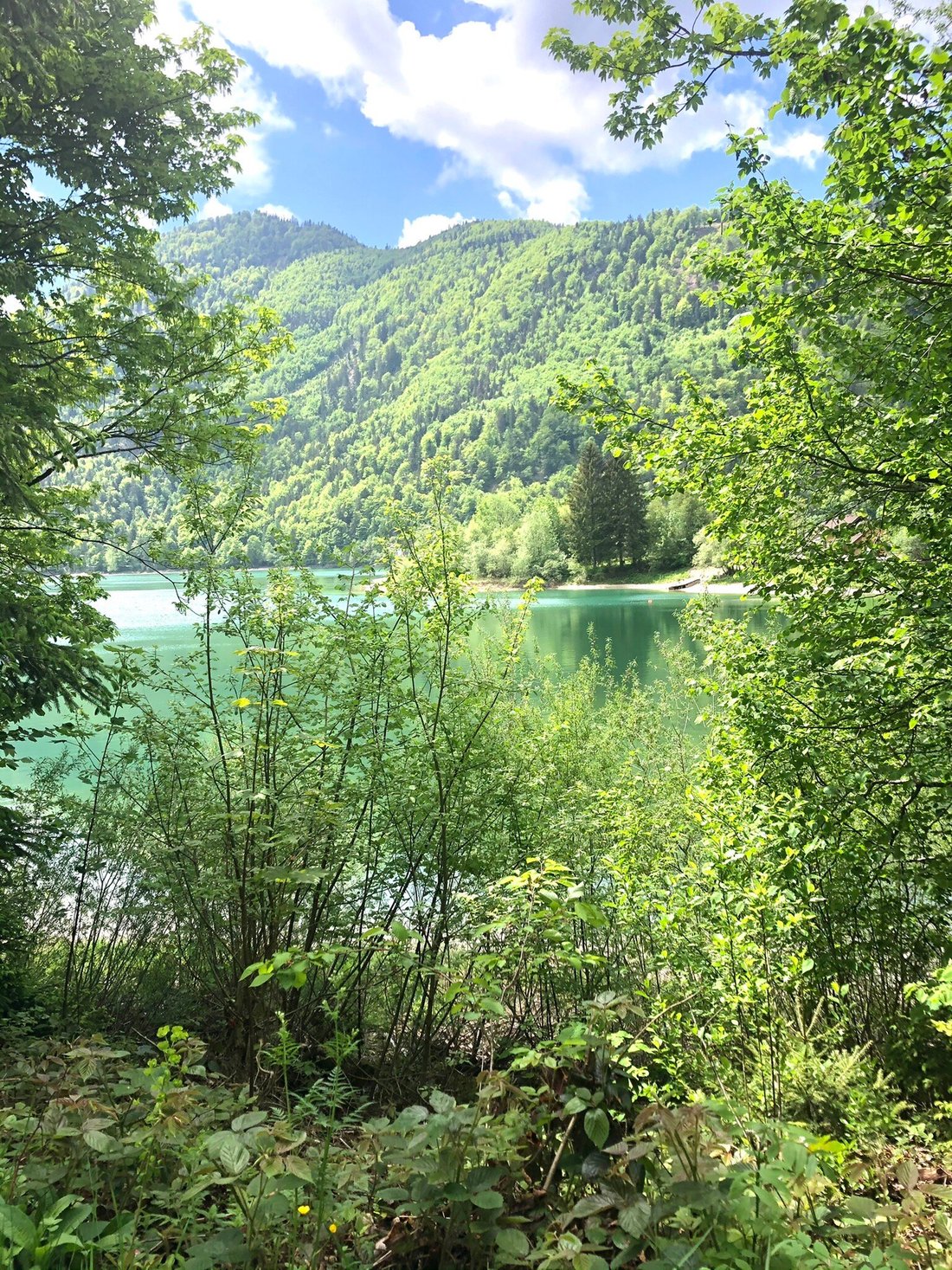 hotel fischerwirt natur waldspa faistenau über