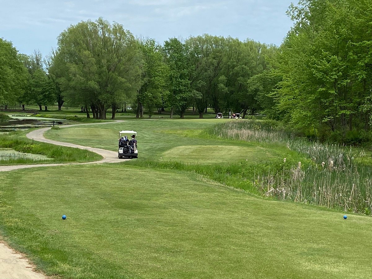 Cheshire Hills Golf Club (Allegan) All You Need to Know BEFORE You Go