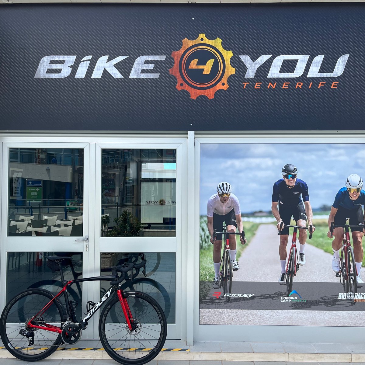 Bike 4 You Tenerife, Коста-Адехе: лучшие советы перед посещением -  Tripadvisor