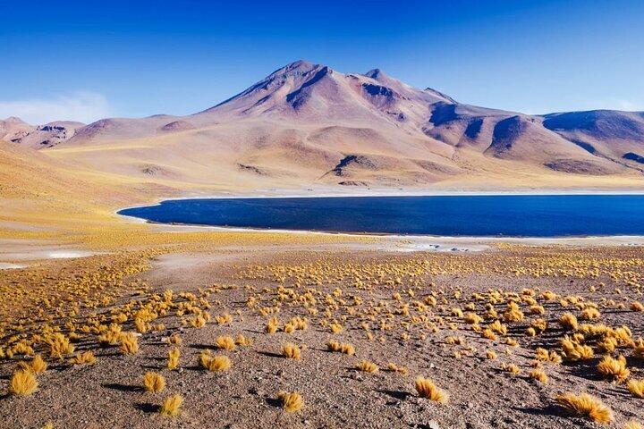 2024 Altiplanic Lagoons and Piedras Rojas provided by GuiasTours