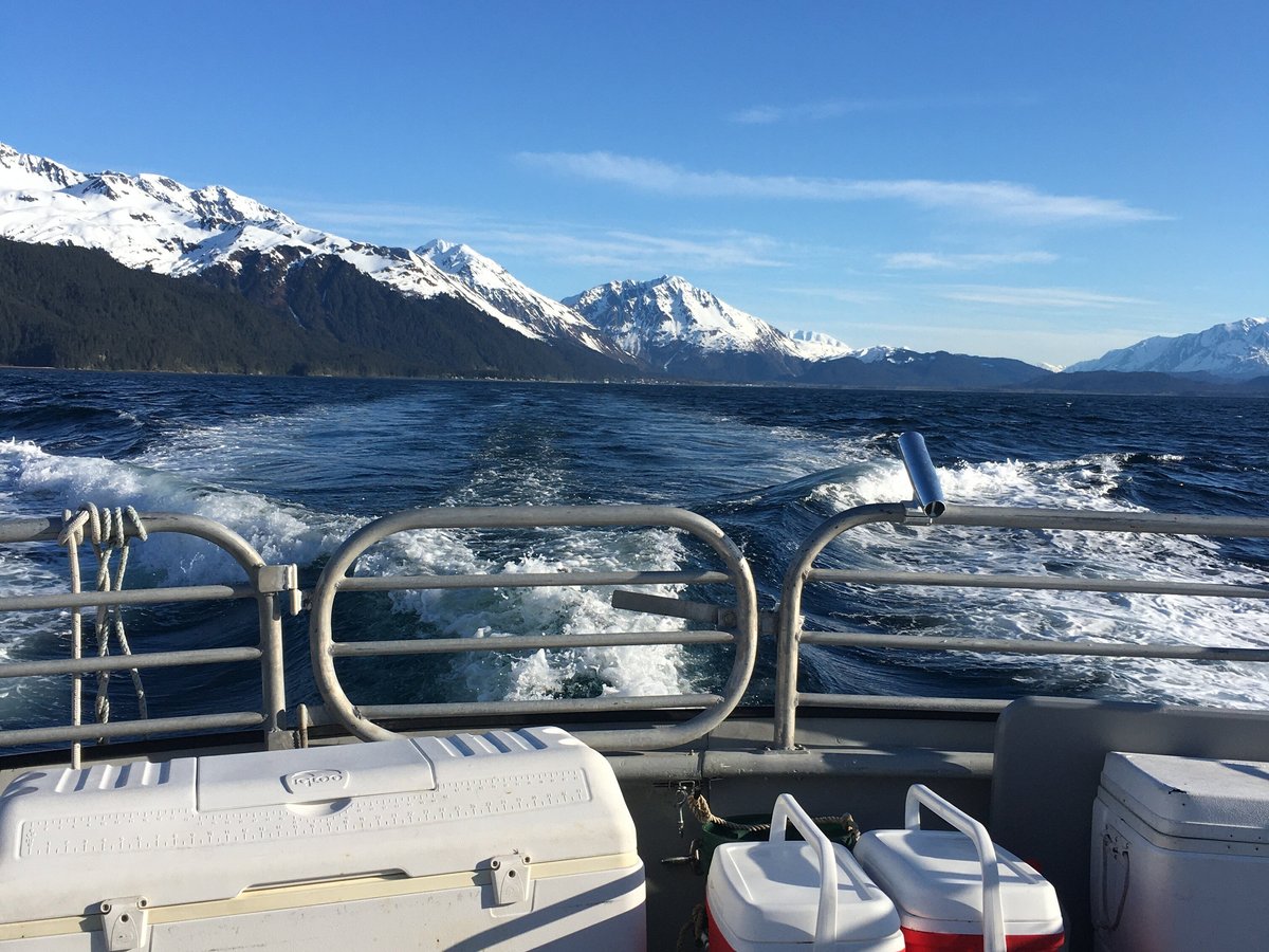 Alaska Saltwater Lodge Small Group Whale Watching, Wildlife & Glacier ...