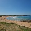 Cornish Traveler
