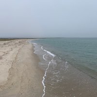 Joseph Sylvia State Beach (Oak Bluffs) - All You Need to Know BEFORE You Go