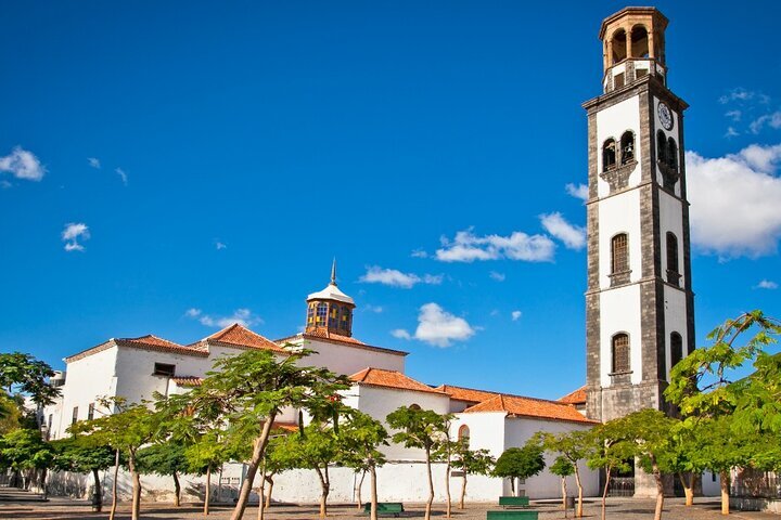 THE 10 BEST Puerto de la Cruz Tours Excursions for 2024