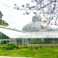 Allan Gardens Conservatory - All You Need to Know BEFORE You Go (2024)