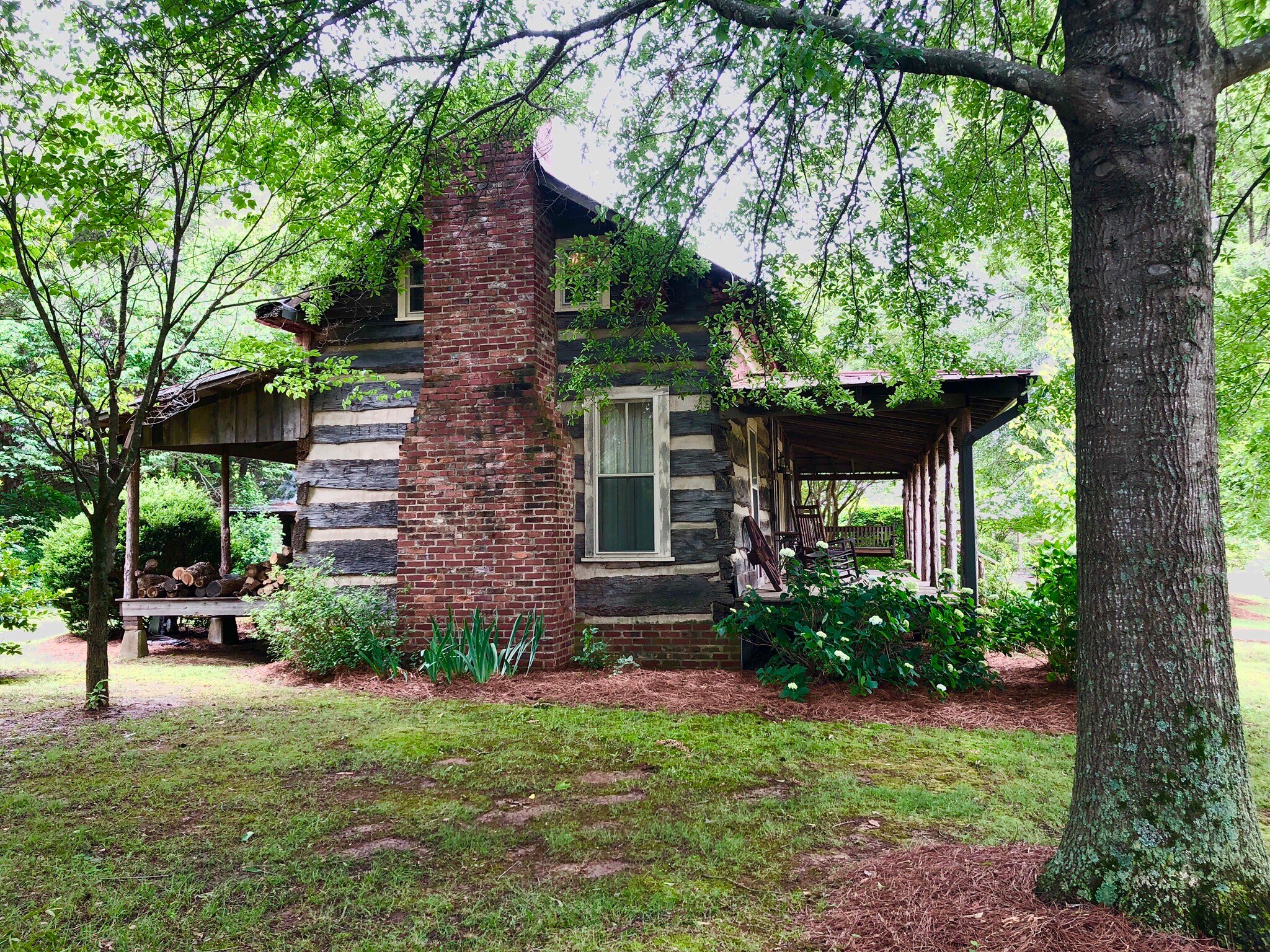 高評価！ - CABINS BREAKFAST & BED FARM FROG GREEN Prices Campground & シャツ/ブラウス(長袖/七分)