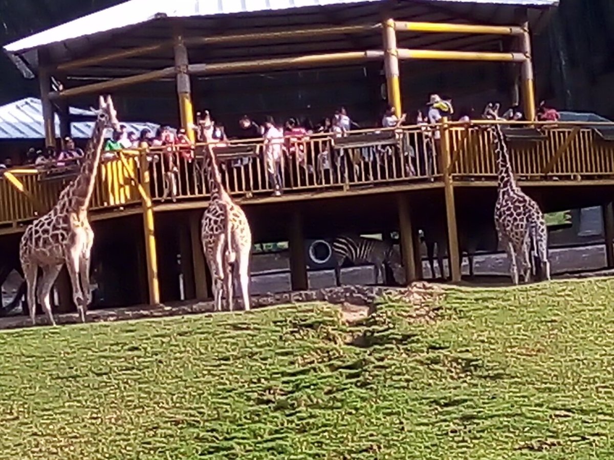 Bioparque Estrella México (Ciudad de México) - 2023 Lo que se debe saber  antes de viajar - Tripadvisor