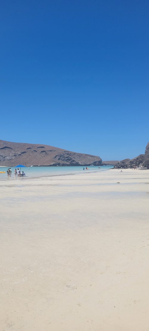 Baja California TravelBug_Shar review images