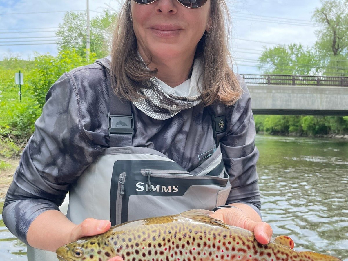 Fly Fishing Trips & Lessons in the Berkshires, MA