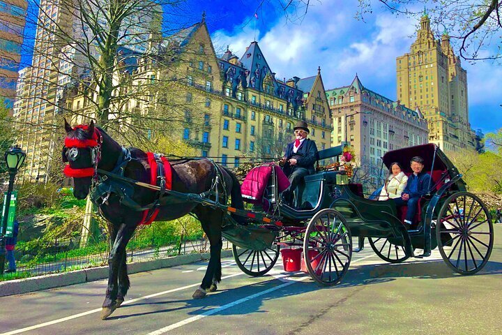 2024 (New York City) THE VIP CARRIAGE RIDE with photo stops (50min ...