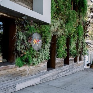 Welcome to SCP Seven4One, located on Pacific Coast Highway in Laguna Beach, California.