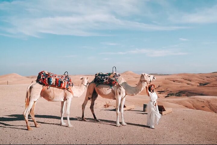 Agafay Desert, Atlas Mountains, And Waterfalls, Camel Day Trip From ...