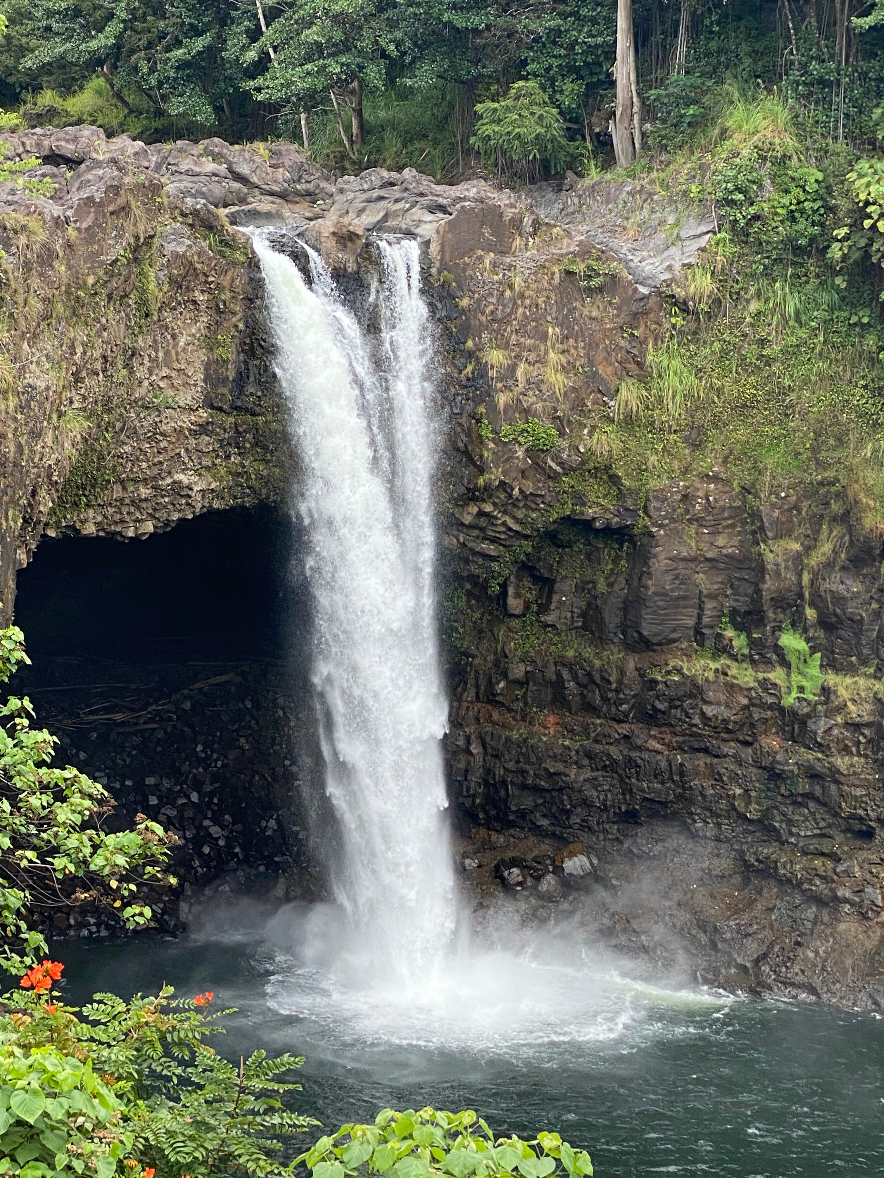 Hawaii Big Island Circle Small Group Tour: Waterfalls - Hilo - Volcano ...