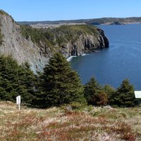 Skerwink Trail (Port Rexton) - All You Need to Know BEFORE You Go