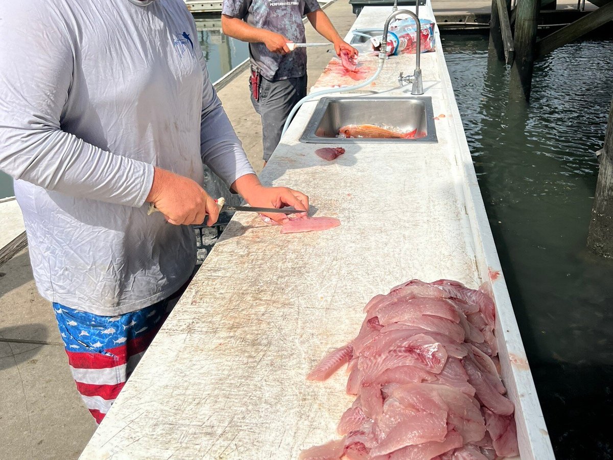 Endless Summer Charters Saint Augustine 2023 Qué Saber Antes De Ir Lo Más Comentado Por La