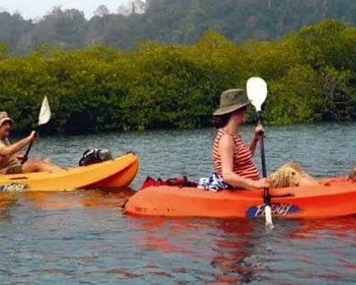 local tour packages in andaman and nicobar islands
