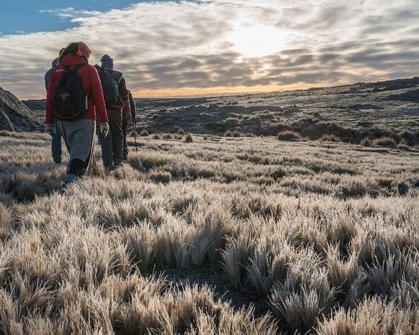 Privé Korte Excursie Naar Nationaal Park Tierra Del Fuego Aangeboden Door Tierra Del Fuego 3286