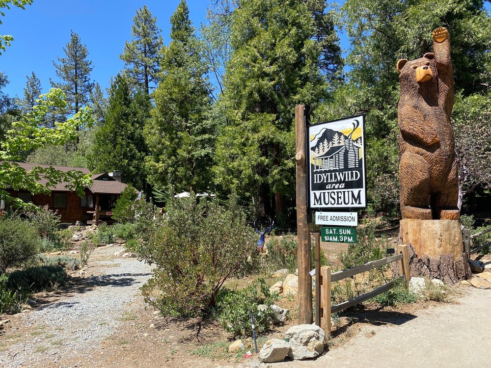 THE 15 BEST Things to Do in Idyllwild - 2023 (with Photos) - Tripadvisor