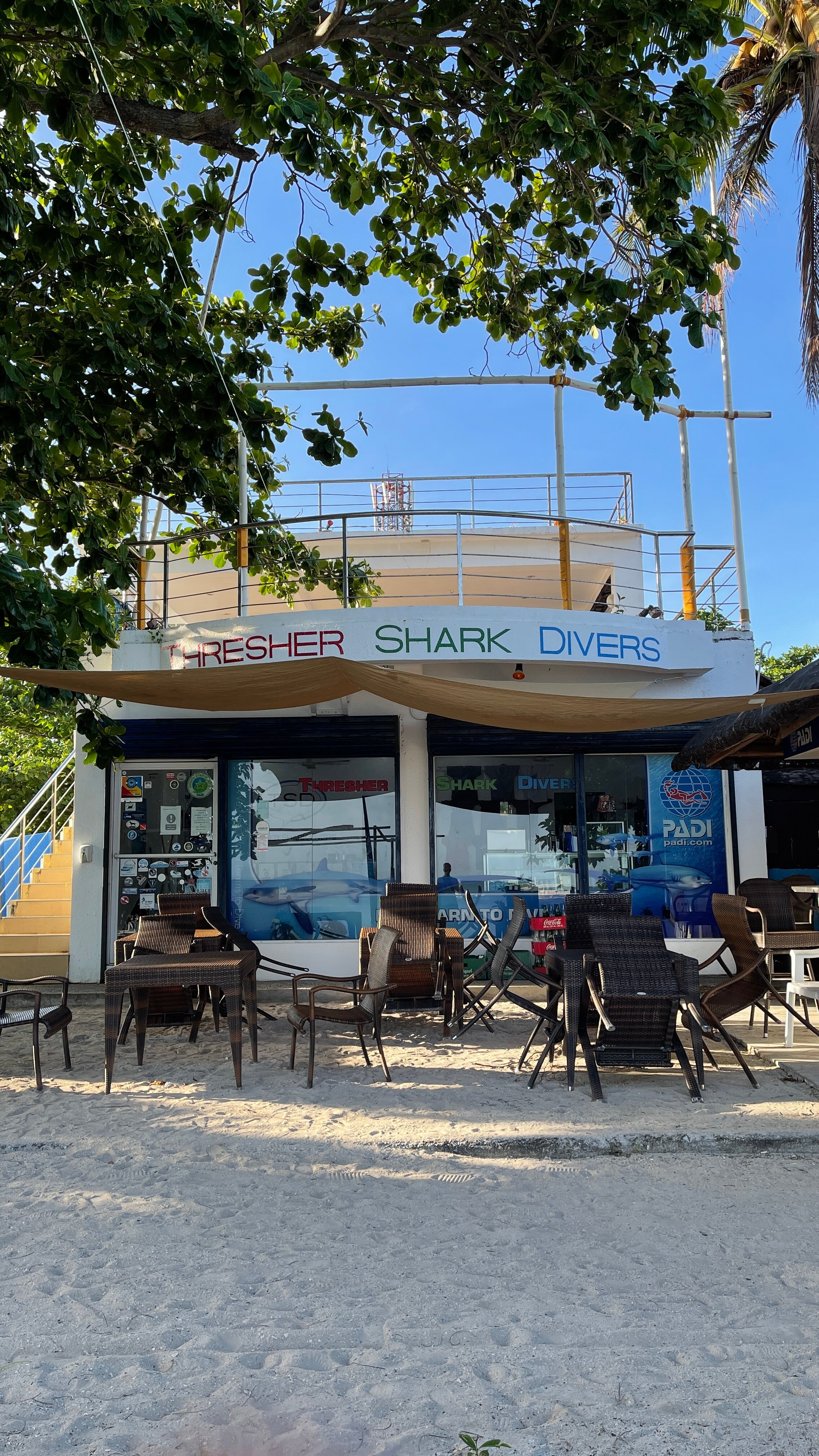 THRESHER SHARK DIVERS (Malapascua Island) - 2022 Qué Saber Antes De Ir ...