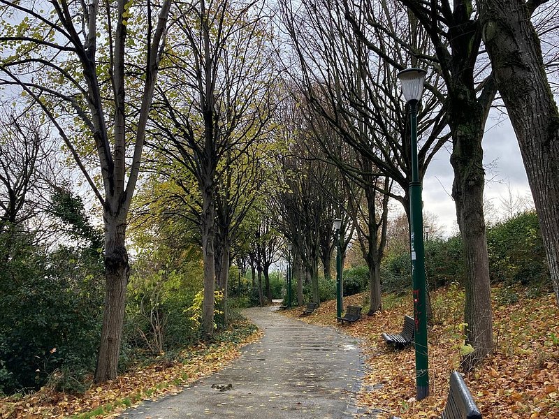 Parc de Belleville Paris