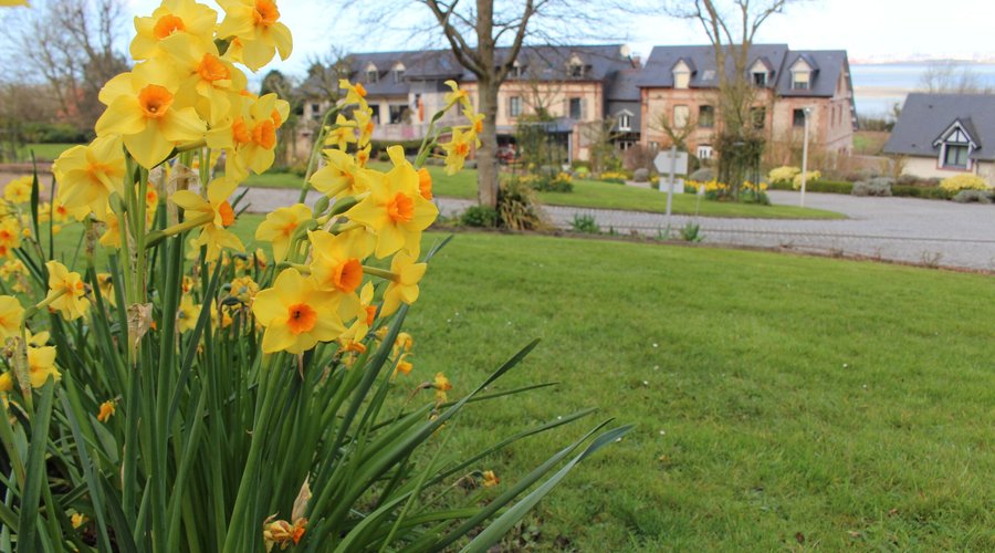 Le jardin du Domaine
