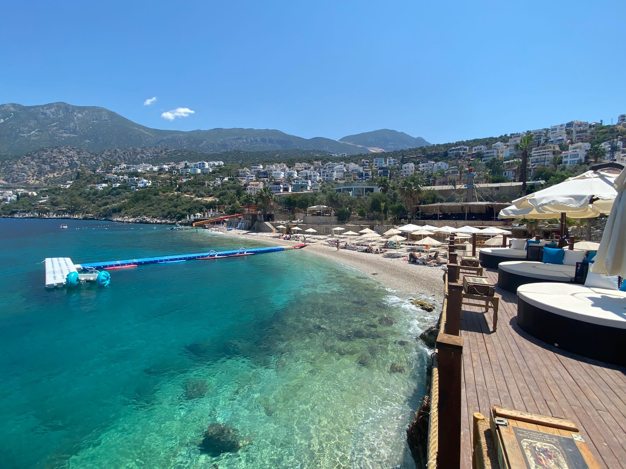 Kalkan dog hotsell food reviews