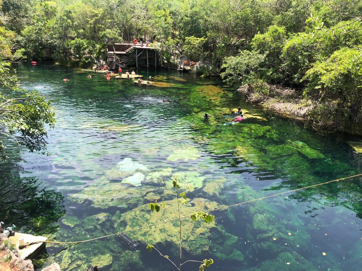 The Fives Dive Center (Playa del Carmen) - All You Need to Know BEFORE ...