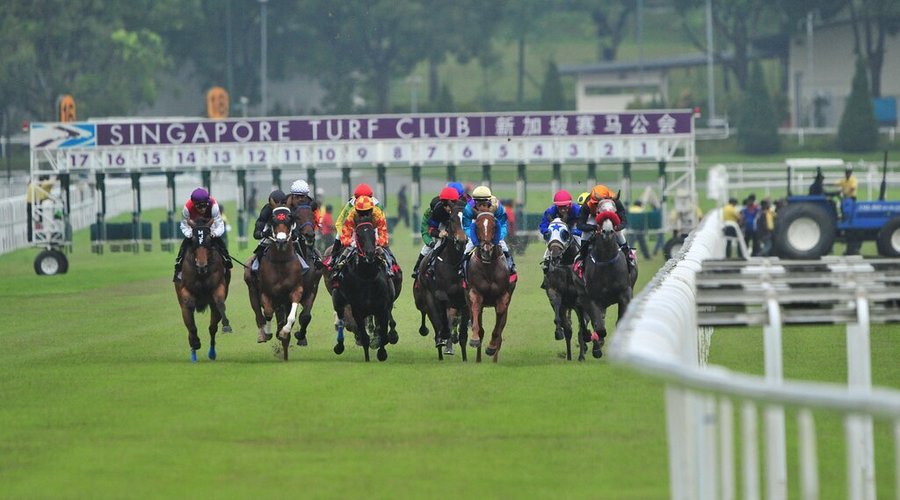 Race Day at Singapore Turf Club