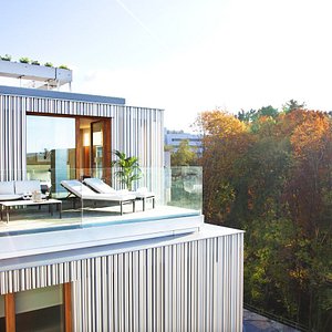 Terrace Over The Forest