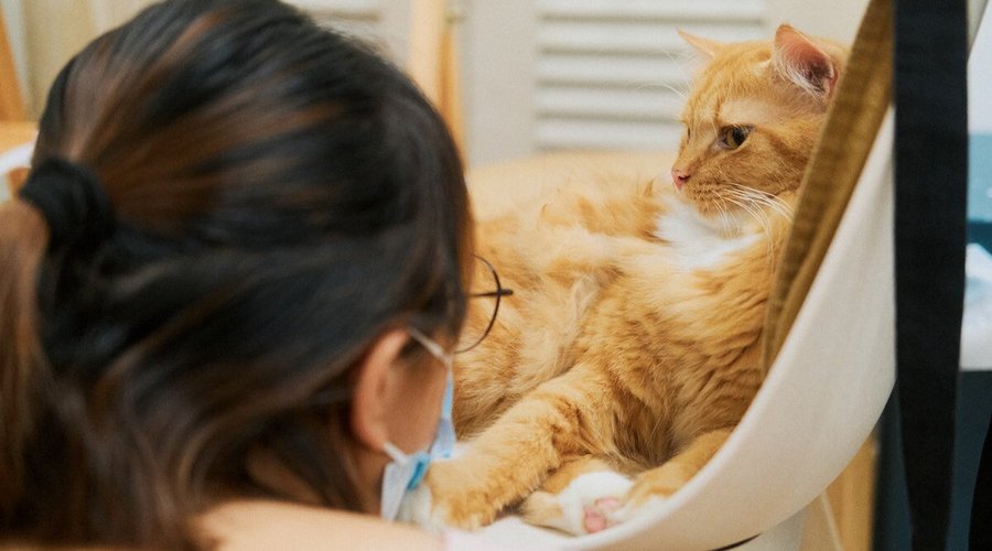 Kitty chats are encouraged!