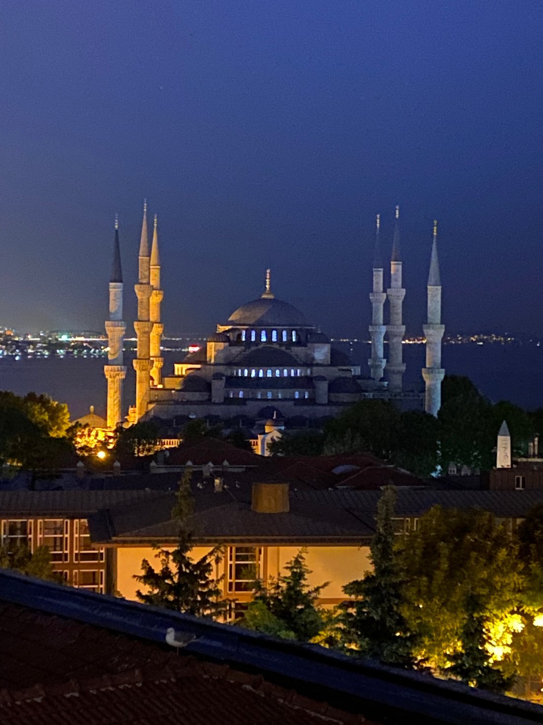 NENA HOTEL $51 ($̶2̶3̶8̶) - Updated 2022 Prices & Reviews - Istanbul ...